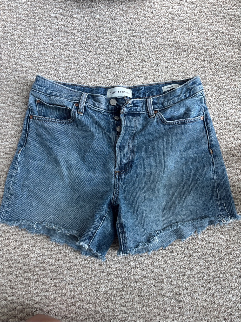 Aritzia Denim Forum Ex Boyfriend Mid Thigh Shorts